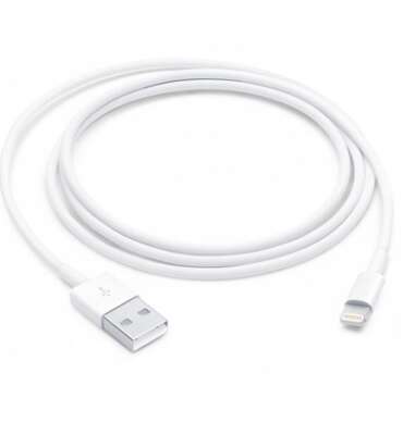 Apple Lightning to USB Cable (1M)